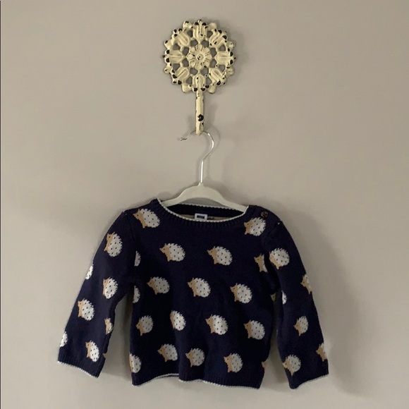 Janie and Jack Other - Janie and Jack Hedgehog sweater